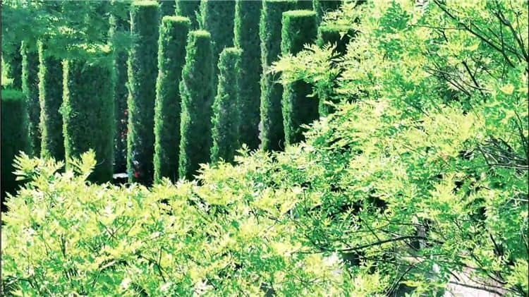 西安霸陵墓園精美宣傳資料欣賞，領(lǐng)略墓園風(fēng)采與優(yōu)質(zhì)服務(wù)