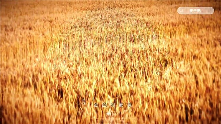 選擇西安霸陵陵園的樹葬服務有哪些好處？