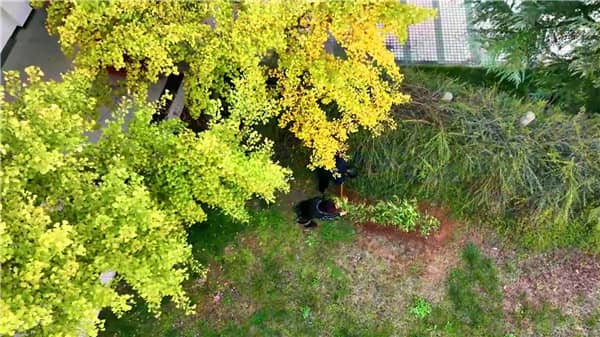 西安市霸陵墓園墓地管理費一年多少錢