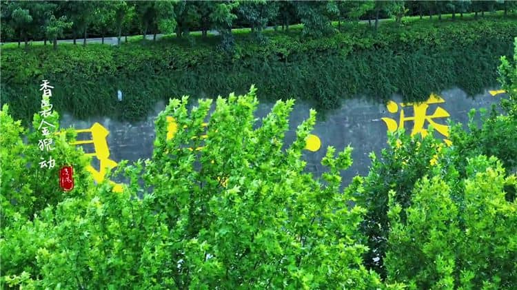 西安霸陵陵園的樹葬區(qū)域有哪些獨特之處？