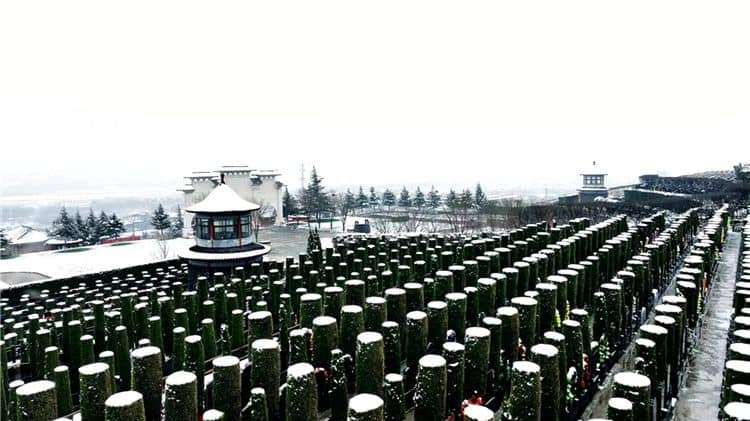 西安陵園網(wǎng)提供免費咨詢服務(wù)的時間是什么時候