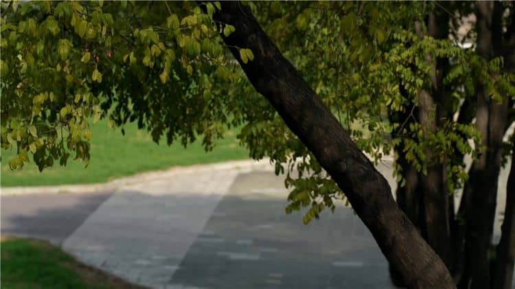 西安霸陵墓園能進(jìn)嗎，西安霸陵墓園的入園須知與開放時(shí)間