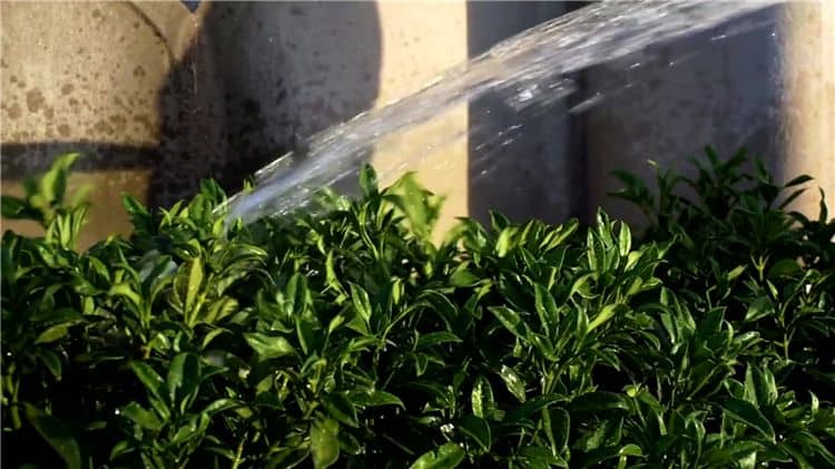 西安霸陵墓園周邊，西安霸陵墓園周邊的環(huán)境介紹