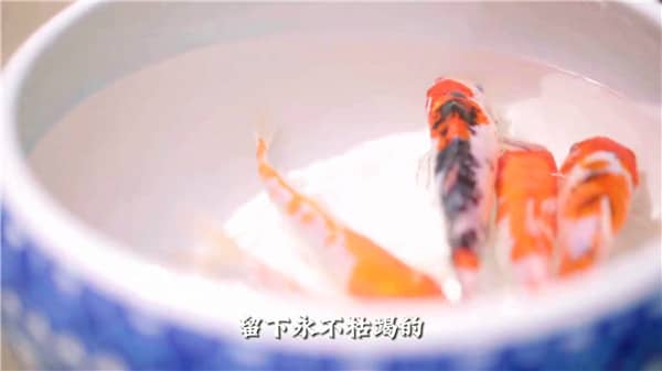 西安霸陵墓園新區(qū)委托代祭