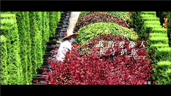 西安霸陵墓園名人安息之地揭秘