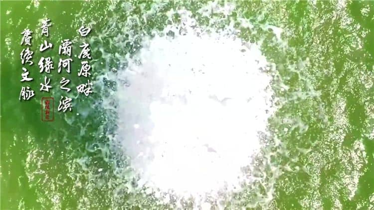 西安霸陵墓園新區(qū)：品質(zhì)理念引領(lǐng)中國一流墓園品牌建設(shè)