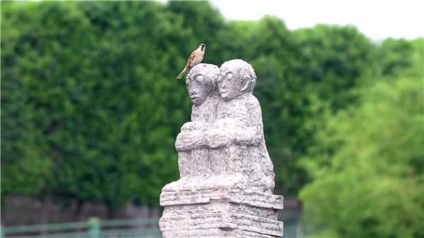 到西安霸陵墓園怎樣坐車