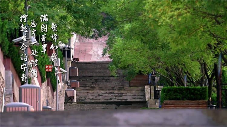 西安霸陵墓園新區(qū)在文化教育方面有哪些舉措和成果？