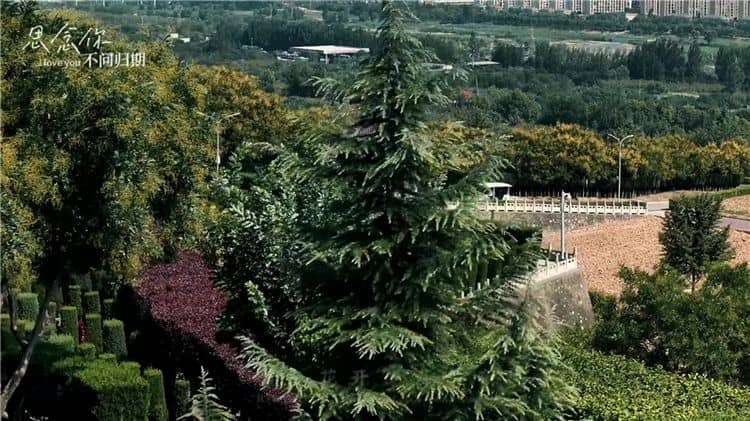 西安霸陵墓園為何鼓勵(lì)市民在清明節(jié)期間選擇乘坐公共交通工具祭掃？