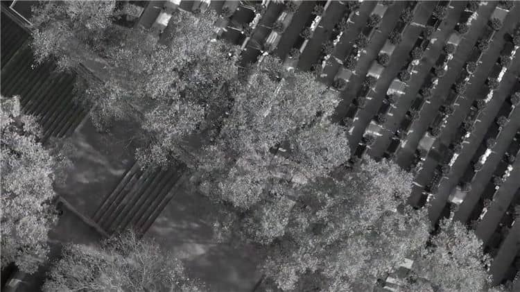 西安霸陵墓園使用年限及管理規(guī)定詳解