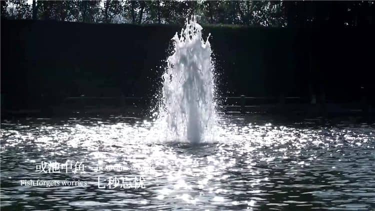 西安霸陵墓園新區(qū)是否設(shè)有志愿者團隊或公益活動組織？