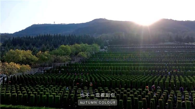 在西安霸陵墓園祭祀時(shí)，如果家屬未能及時(shí)帶走祭祀物品，會(huì)面臨什么情況？