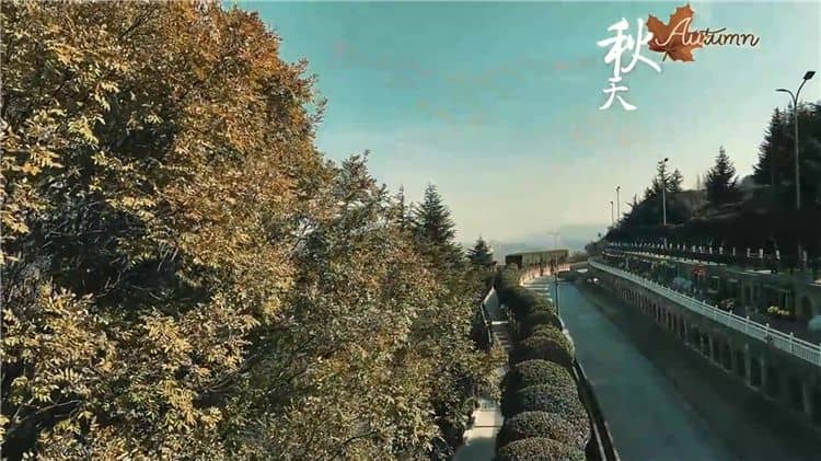 西安霸陵墓園新區(qū)具體位于哪個區(qū)域和街道，其周邊有哪些主要的交通路線？