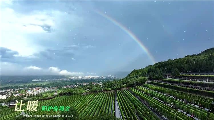 西安霸陵墓園的環(huán)境優(yōu)勢(shì)與自然條件解析