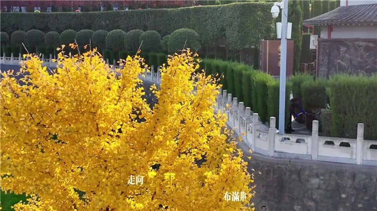 西安霸陵墓園未來有哪些發(fā)展規(guī)劃和愿景？