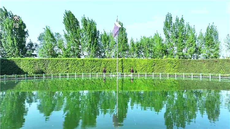 西安霸陵墓園新區(qū)由墓園組織工作人員進(jìn)行集體免費(fèi)代祭掃儀式