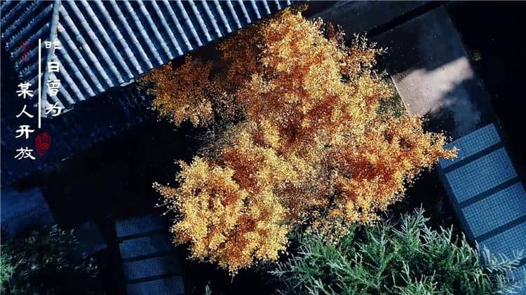 西安霸陵墓園新區(qū)是否提供預約服務？