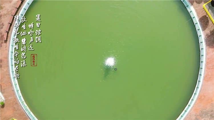 西安霸陵墓園新區(qū)分多少區(qū)