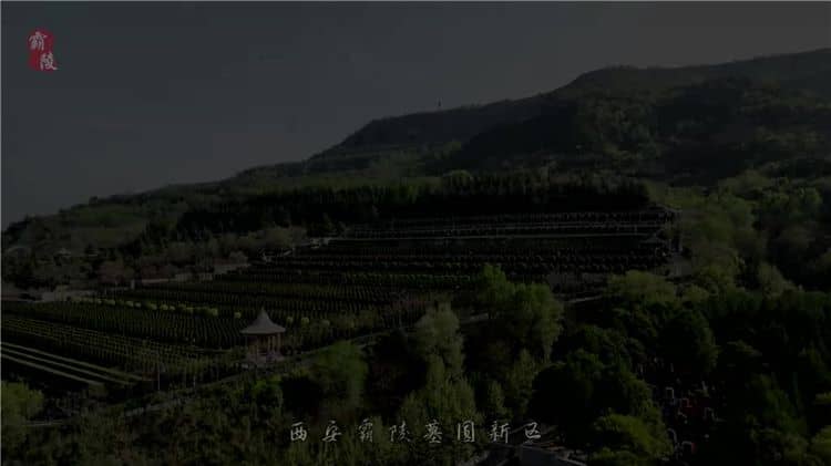 西安霸陵墓園不僅具有深厚的歷史背景和文化底蘊(yùn)，還提供多種優(yōu)質(zhì)的服務(wù)項(xiàng)目和環(huán)保舉措