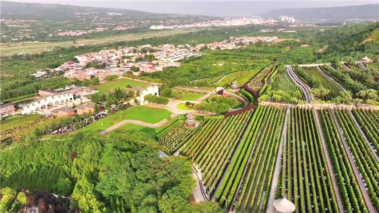 西安霸陵墓園有哪些獨(dú)特的文化元素？