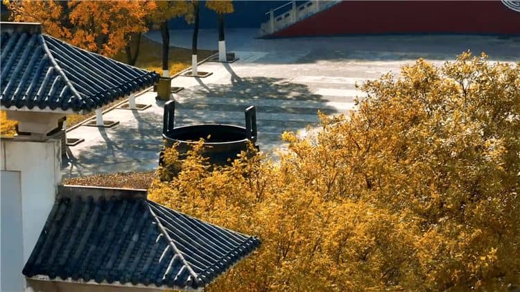 西安霸陵陵園新區(qū)如何體現(xiàn)對(duì)逝者的尊崇和敬意？