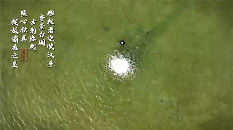 西安霸陵墓園新區(qū)的綠化情況如何？