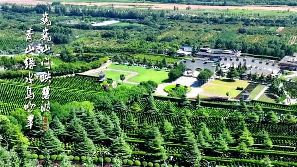 西安霸陵墓園新區(qū)有哪些在售的墓型？