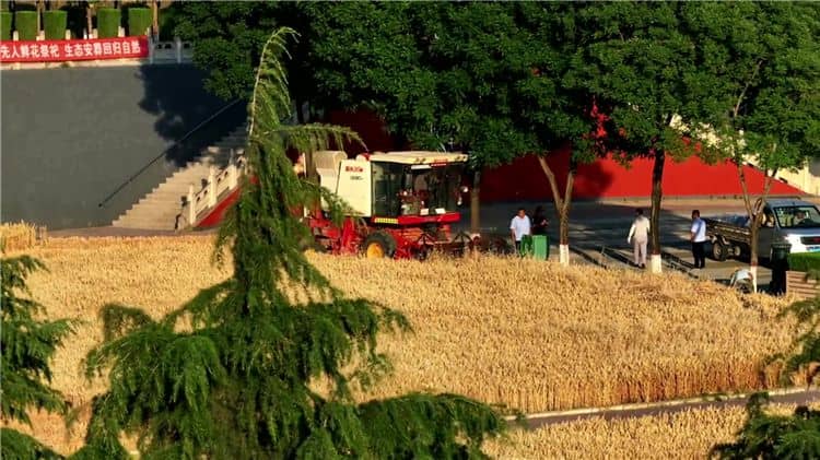 西安東郊霸陵墓園的電話，西安東郊霸陵墓園的官方聯(lián)系方式