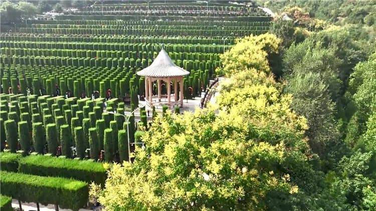 西安霸陵墓園服務評價, 西安霸陵墓園墓型介紹,