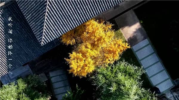 西安霸陵墓園公墓圖片