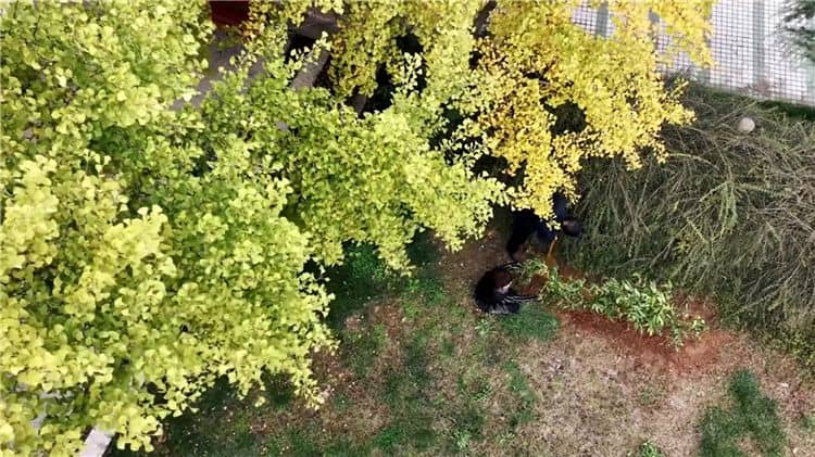 西安霸陵墓園新區(qū)的價(jià)格受哪些因素影響，家屬在選擇墓地時(shí)應(yīng)考慮哪些方面？