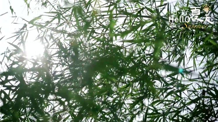 西安霸陵墓園的墓地價(jià)格受哪些因素影響，家屬如何選擇合適的墓地？