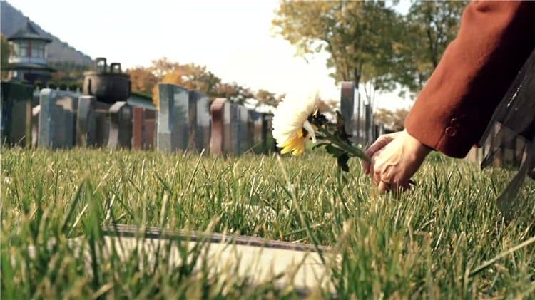 西安霸陵墓園新區(qū)在地理布局上有何特點？