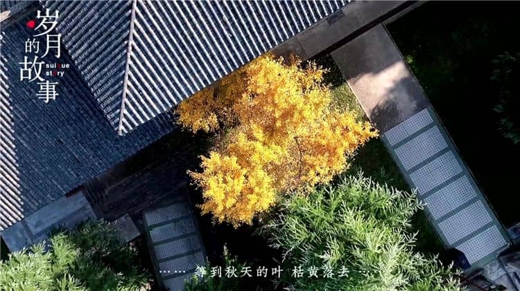 西安霸陵墓園的環(huán)境與服務(wù)？