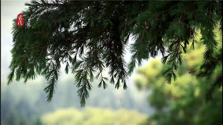 針對清明節(jié)掃墓高峰時段，西安霸陵墓園有哪些具體措施來應(yīng)對交通壓力？