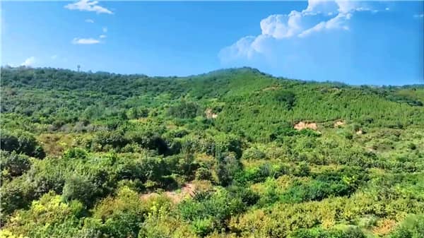 西安霸陵墓園與新區(qū)，有這么便宜的