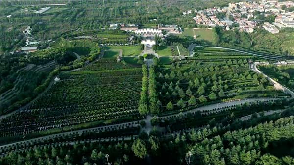 西安霸陵墓園墓地的價格區(qū)間是怎樣的，家屬應(yīng)如何根據(jù)預(yù)算選擇？