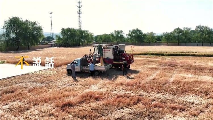 西安霸陵墓園在傳承和弘揚(yáng)傳統(tǒng)文化方面有哪些舉措？