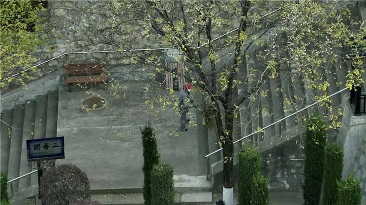 西安霸陵新區(qū)墓園，真情陪伴