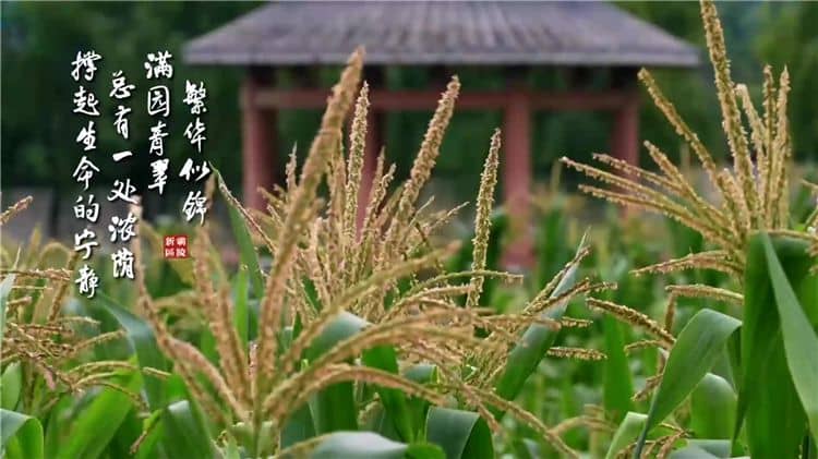 西安霸陵墓園新區(qū) 氣勢宏偉