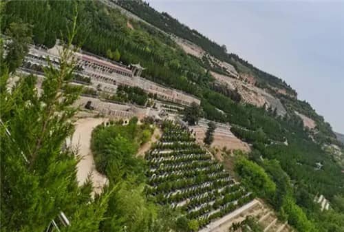 西安灞橋區(qū)的高橋墓園提供哪些類型的墓地