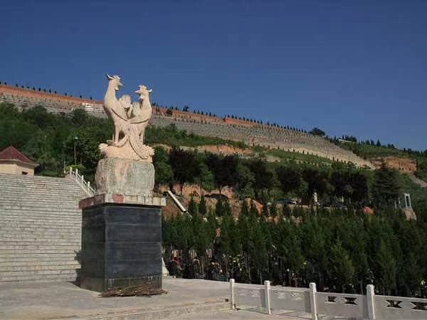 高橋墓園是否提供樹(shù)葬服務(wù)？