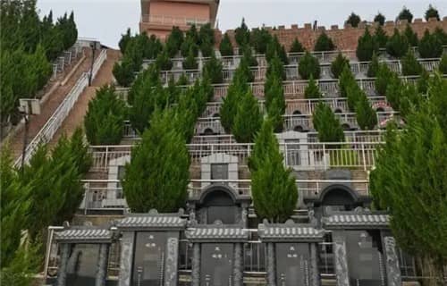 實(shí)地參觀高橋墓園有哪些建議？