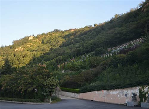 西安墓園提供哪些服務(wù)？