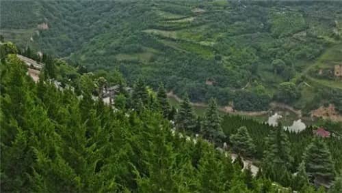 西安高橋墓園免費(fèi)接送服務(wù)_便民惠民的貼心服務(wù)