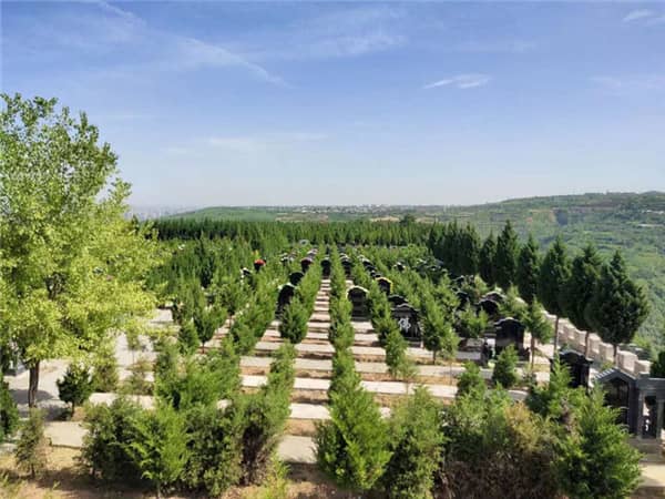 西安市高橋骨灰墓園：融文脈、生態(tài)與服務(wù)的千畝陵園典范