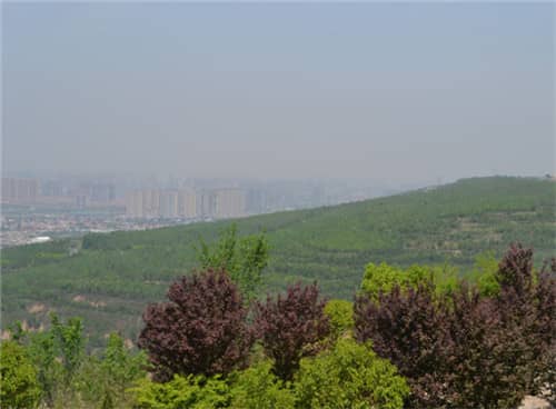 高橋墓園提供了哪些安葬方式，并簡(jiǎn)述其特點(diǎn)？