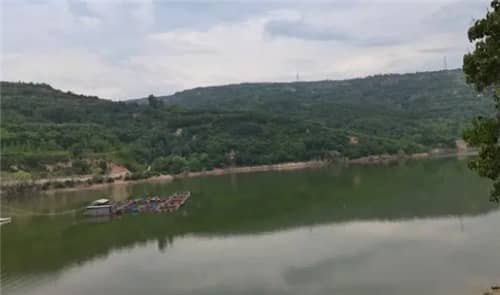 高橋墓園的立碑選項有哪些區(qū)域，各自有何特色？