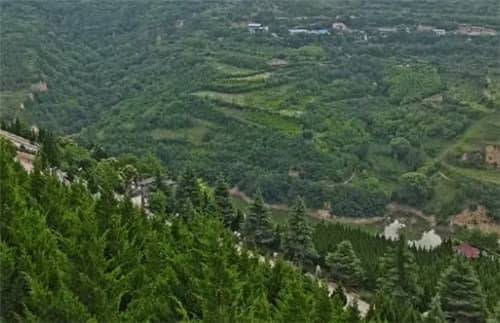 西安高橋墓園的單人墓位價(jià)格大約是多少？