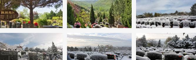 2024年西安白鹿原公墓清明節(jié)公祭活動全攻略